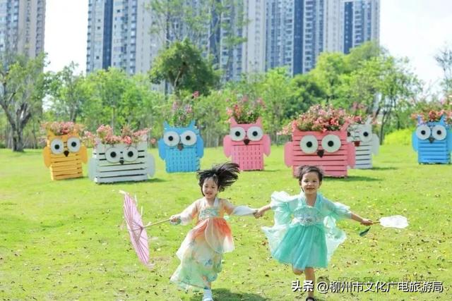 把夏天泡进花海里！前茅公园的浓烈+园博园的清新，快来享用双份“夏日特调”
