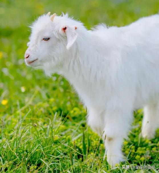 二月	，白羊座，注意一点