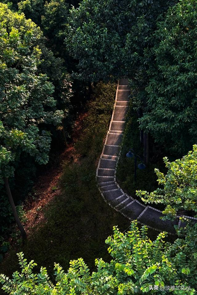 重阳节，登高远望城市风光。