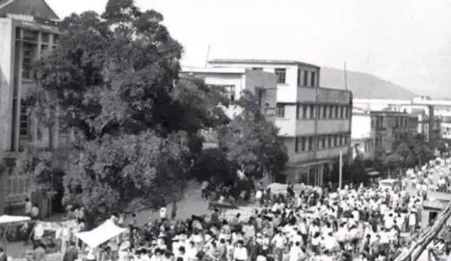 看完1992年云南武警平远扫黑，就明白收复台湾必须使好一张底牌