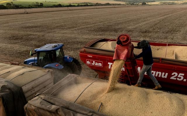 白宫高调宣称 1200 万吨大豆订单，中方仅象征性采购后停步，特朗普善变让协议难落地？