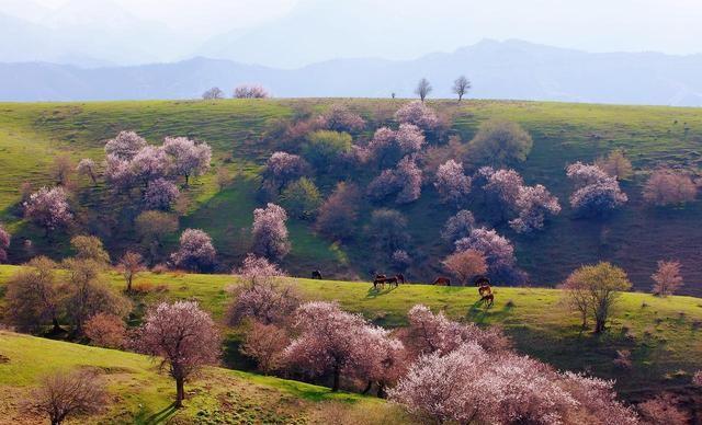3-4月春游宝地，这6个地方，风景繁密，适合踏春