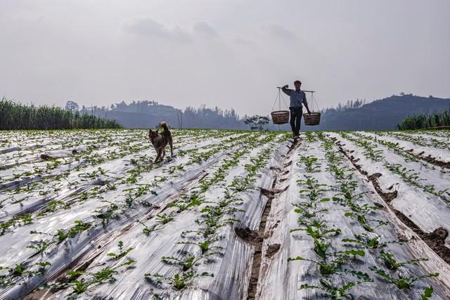 我给嫂子送孩子衣服，她刚出浴围着浴巾，红着脸让我进去喝水
