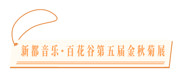 美到失语！15万株菊花，全屏视觉盛宴，3s不心动算我输