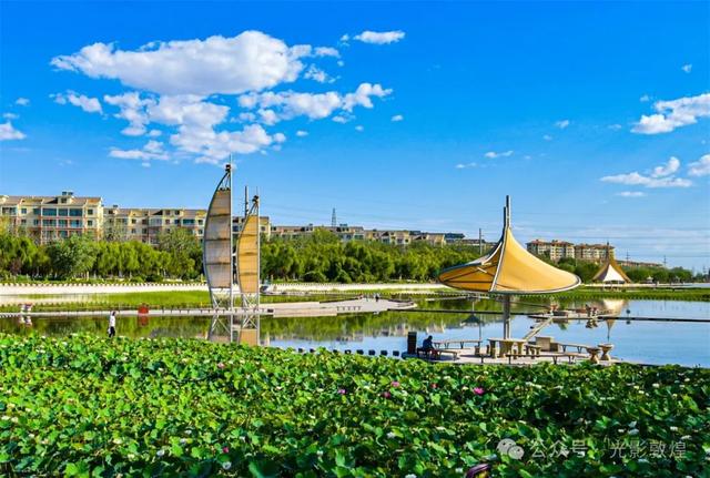 早晚凉风习习,敦煌党河风情线赏荷浪漫且惬意
