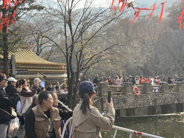 人潮涌动！鞍山人畅游千山热度高