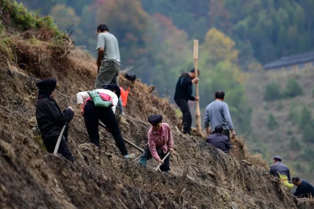 龙胜:“水镜梯田”唤醒冬韵 下埠屯书写旅游新篇
