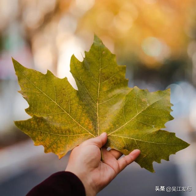 周末去打卡丨太好拍~东太湖绝美机位，“框框”出大片！