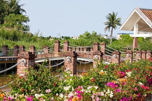 万宁溪边村：邂逅三角梅下的书香悠闲时光