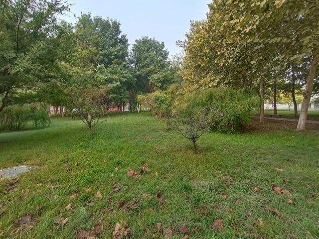 一个人不尊重你时，不要沟通，不要愤怒	，只需记住"海格力斯效应"