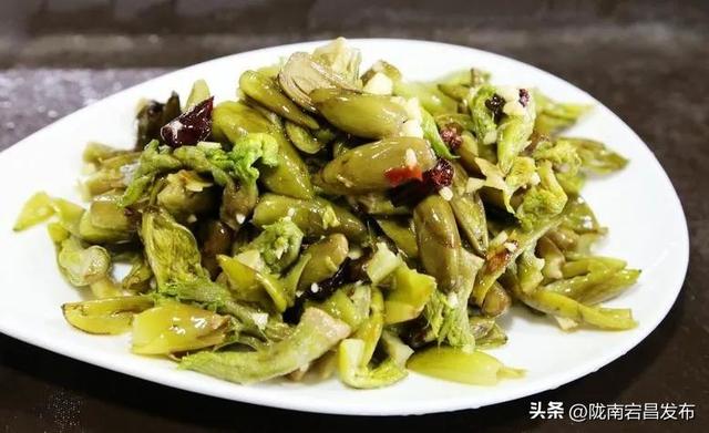 避暑胜地·康养宕昌｜夏日逃离热浪计划！来官鹅沟大景区，把日子过成“天然养生帖”~