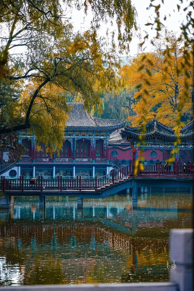 初冬时节，回眸临夏最后一抹绚烂