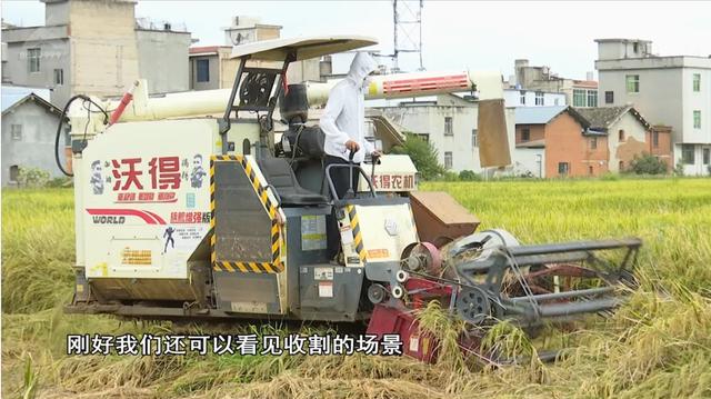 稻田摸鱼、品长街宴，想感受丰收的美好，来这儿就对了