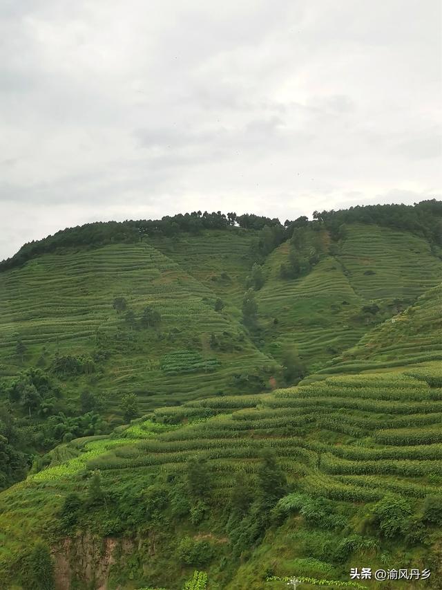 重庆奔赴抚仙湖沿途风景