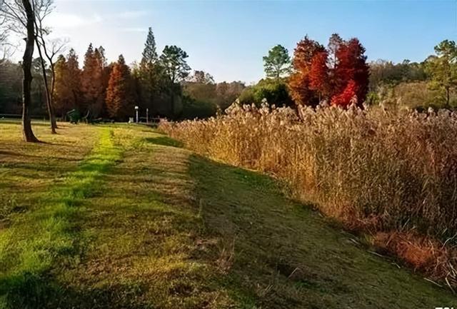 国际山岳日｜今天适合爬山~