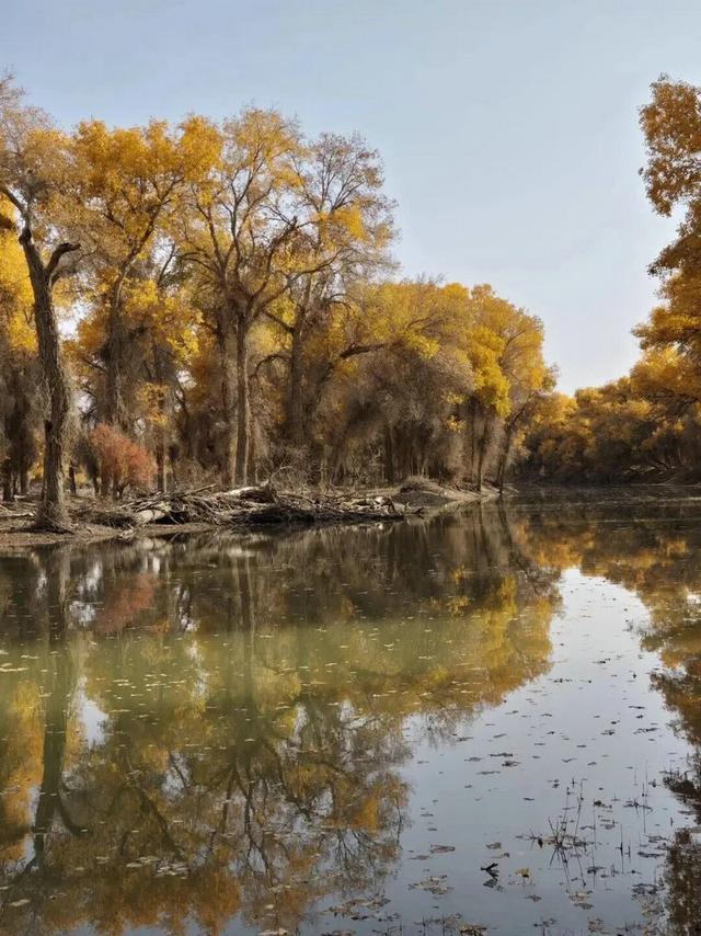 轮台胡杨7 个冷门角落