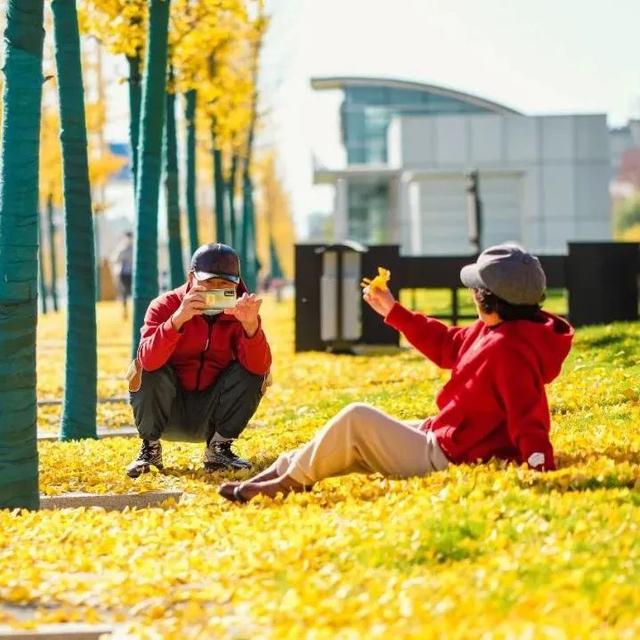 梅水知秋：一城风景半城诗 金色梅河游玩攻略