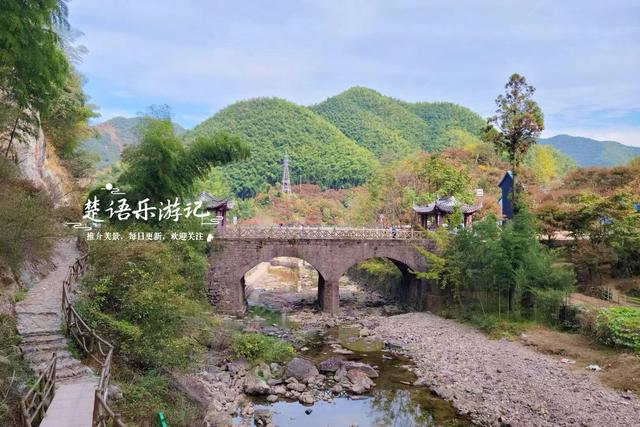 宁波余姚的夫妻银杏又火了，树边的溪上休闲空间超美，好拍又好玩