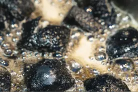 中国人吃臭地图，哪一口才是你的“臭宝”？图片