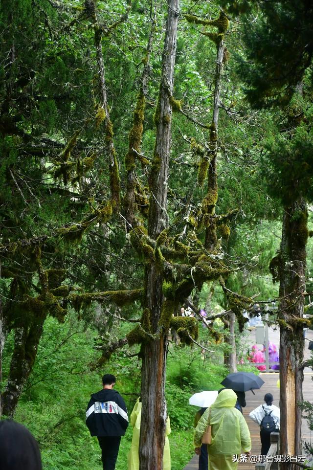 人间瑶池，醉美黄龙（图）