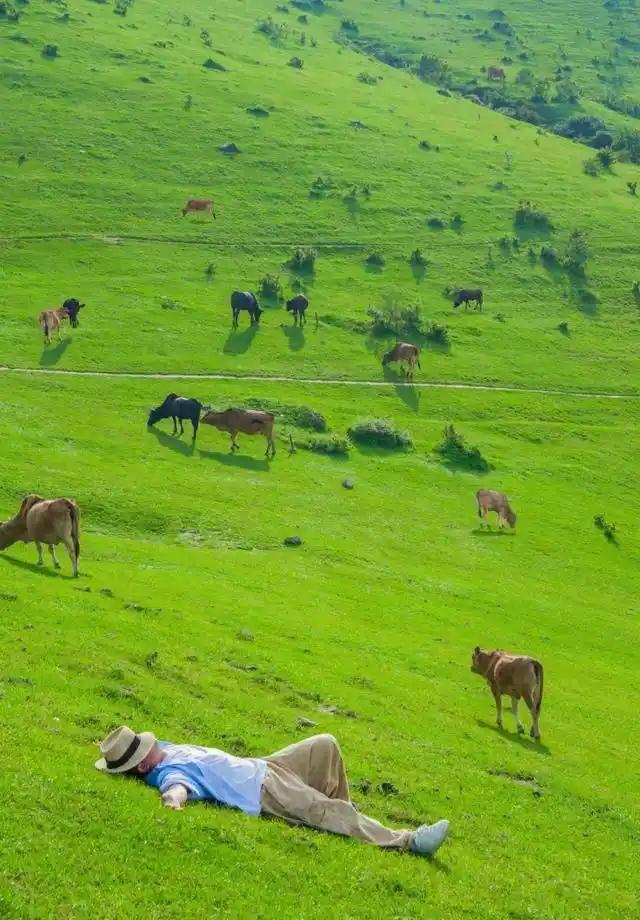 河北省面积第一县，相当于四个深圳，比秦皇岛市还大