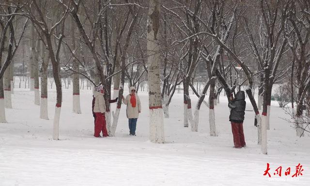 雪落平城！一场“认真的初雪”，给大同裹上冬日白纱～