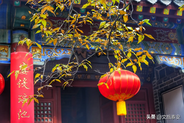 腊梅把庙堂镀成 “流动金” ！暗香浮动的王母池承包一整个冬日浪漫~