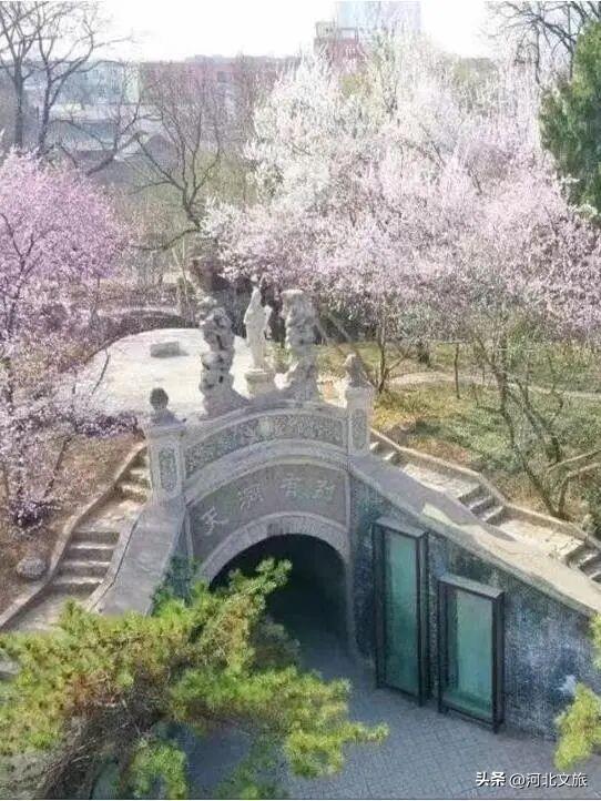 在保定，体验真实版“疯狂动物城”！