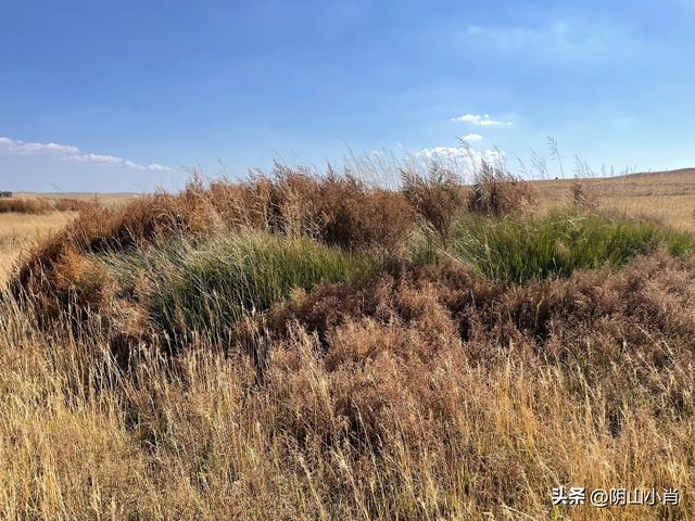 2025年国庆包头市达茂联合旗境内访古记