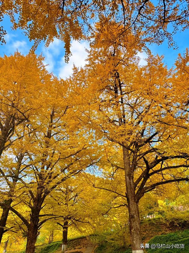 湘超冠军之城，湖南永州美景打卡攻略！