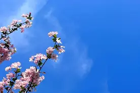 二婚的女人，难以过好的原因，很现实图片