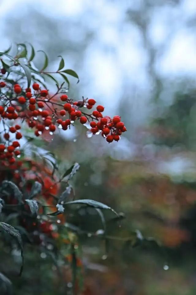 冬之伊始，来潼关寻觅初冬色彩