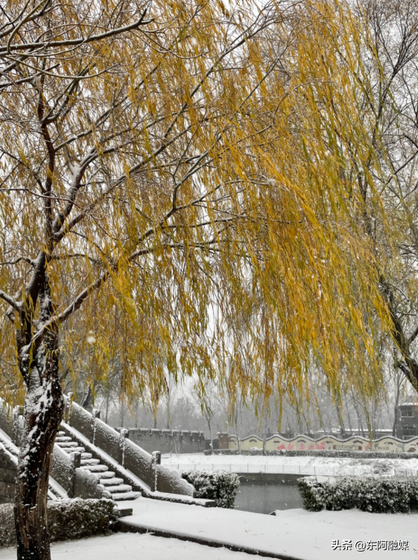 小雪至，东阿冬日限定美景上线～