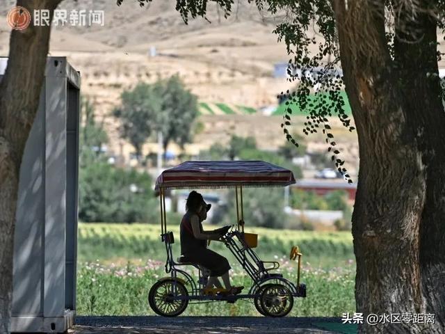 乌鲁木齐市水磨沟区—图集：在石人农场邂逅自然清凉