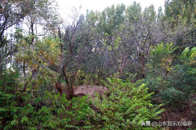 小丹河(老坝河水库西段)立冬那天的风光