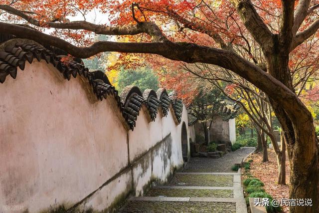 苏州居然还藏着一个“中国四大枫叶胜地”！