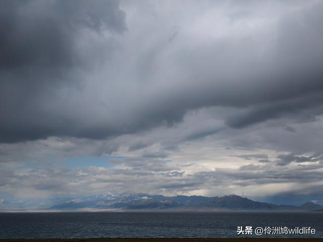 新疆明珠——赛里木湖