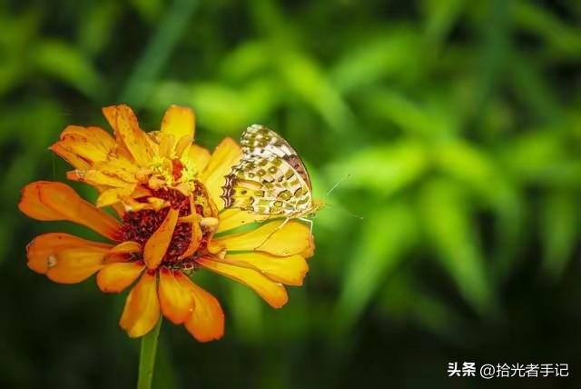 18句人生经典句子：一句话，一种心境，哪句戳中了你？