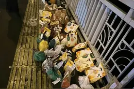 反转了？谭竹回应胖猫事件，网友态度倒戈 不要再点外卖祭奠胖猫！图片