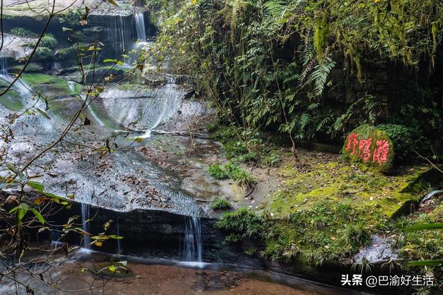 雅安旅游“封神榜”：6大绝景+11处国保，比成都更值得深度游！