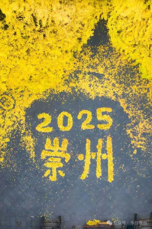 罨画池正在下一盘“大棋”