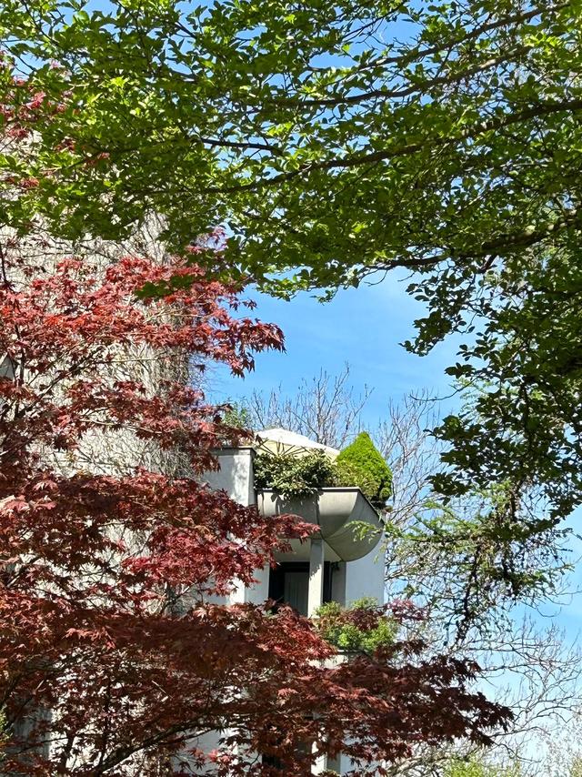 《 再见,德国 》