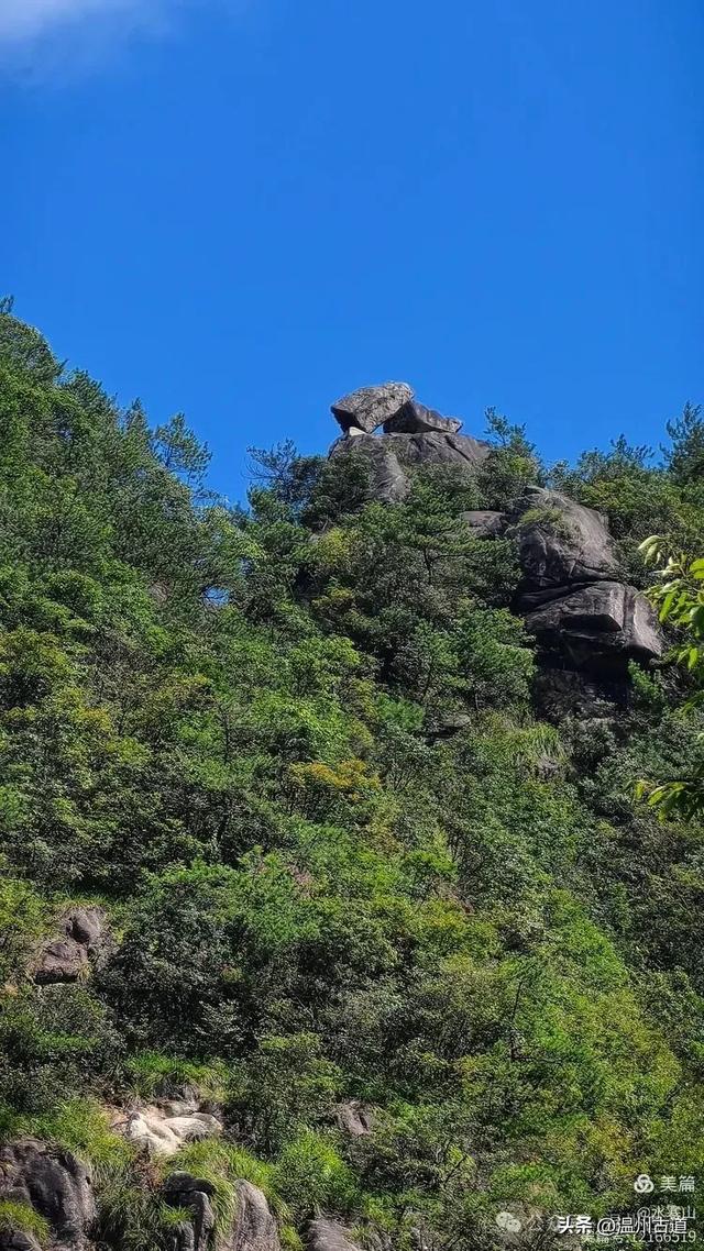 “浙南之巅”竟藏着以奇石景观著称的微缩版三清山，目前免费玩！