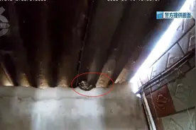 “我太害怕了！” 家中闯入“神秘访客”，老人果断报警！图片