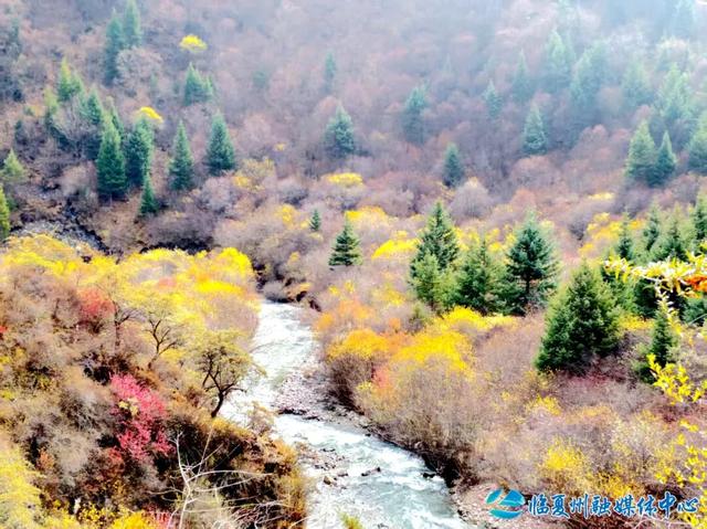 雪落之前留存的秋色