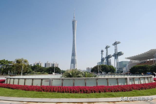 广州一年四季这景点都有花海，绝美赏景地