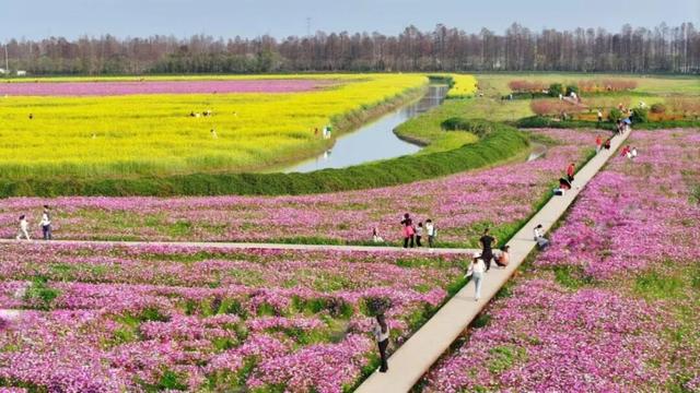 春节没玩够？这个周末游乡村，为快乐“续费”
