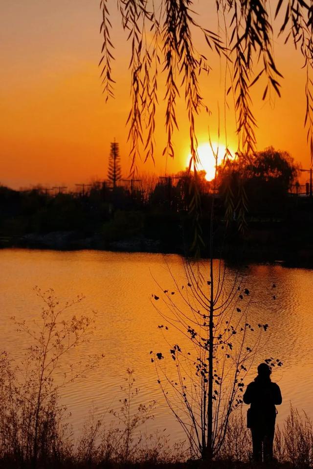 初冬限定！观鸟、彩叶、遛娃一站式，承包全家 “零负担” 快乐