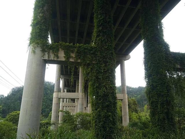 端阳喜伴小溪河，独有诗心迷远足——徒步小溪河散记（三）