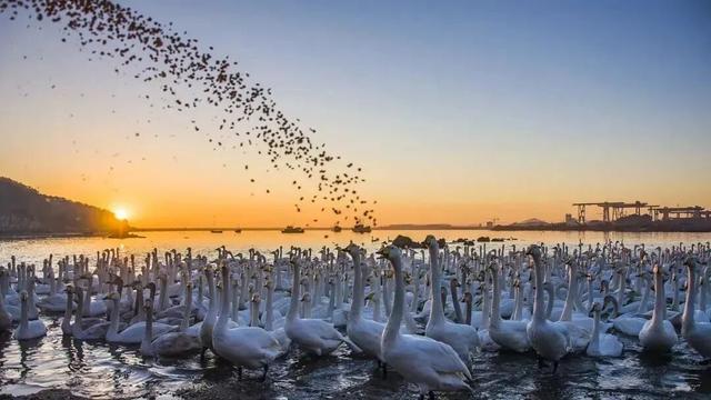 冬日畅游齐鲁，相约乐GO山东！